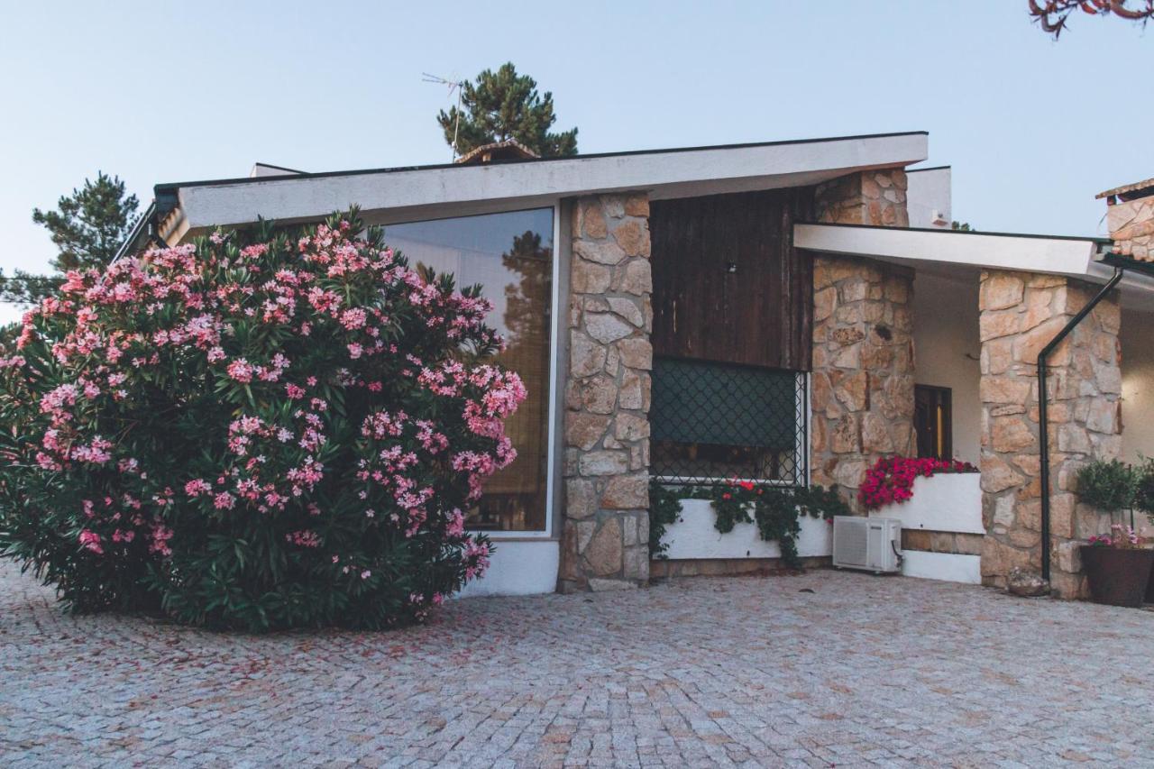 Casa Da Ni - Douro Villa Arcos  Eksteriør billede